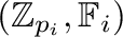 $({\mathbb{Z}}_{p_i}, {\mathbb{F}}_i)$