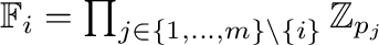 ${\mathbb{F}}_i = \prod_{j \in \{1,\dots,m\}\backslash \{i\}}{\mathbb{Z}}_{p_j}$